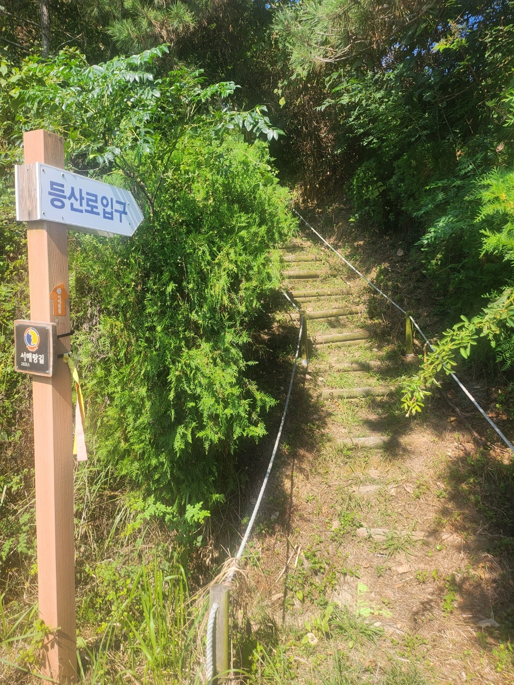 예초 작업 예시